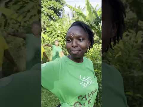 Ancient Seed, Dhee, Tiwa Savage, Santhosh Narayan, Wondagurl #shorts