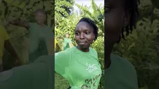 Ancient Seed, Dhee, Tiwa Savage, Santhosh Narayan, Wondagurl #shorts