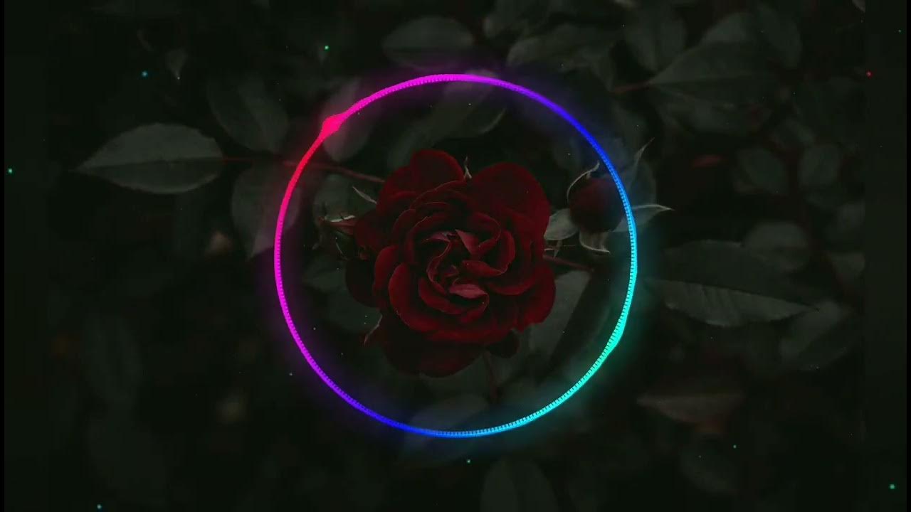 Rose speed up. Rose speed up. Rose speed up. Derrick rose art. Rose speed up.