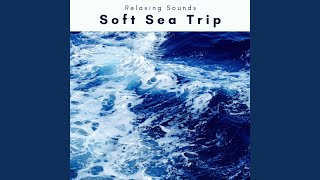 Soothing Night Sea Noises Trip for Total Sleep
