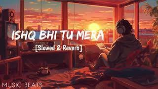Ishq Bhi Tu Hai Pyar Bhi Tu Hai slowed &Reverb  Raj Barman Ft. Jasmin Bhasin | Mahakal Records