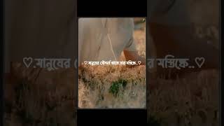 মির্জা গালিবের বিখ্যাত একটি উক্তি 🥰 2026 | Niladri Nila