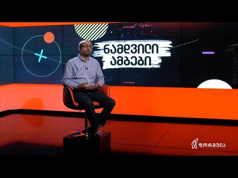 ნამდვილი ამბები | საქართველოს პირველი კონსტიტუცია | გიორგი მშვენიერაძე