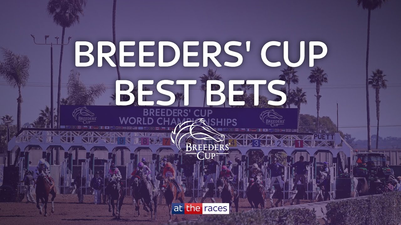 Советы Breeders' Cup от команды Sky Sports Racing!