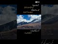 #islamicvideo #shortvideo #qurantutor #islamicteacher