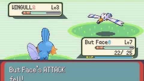 Pokémon Emerald part 2: The journey begins