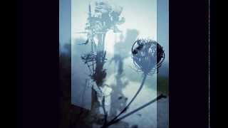 Abstract Spirit-Post Mortem