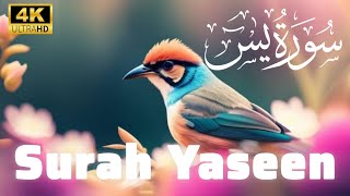 World's most heart touching recitation of Surah Yasin (Yaseen) سورة يس | SOFT VOICE screenshot 2