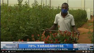Bella Flowers imaze kwinjiriza u Rwanda miliyari zirenga 10 na miliyoni 300 mu myaka 4 utangijwe