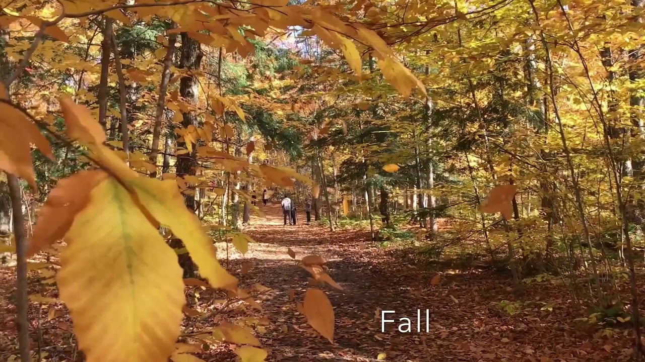 Muskoka Lake Ontario, Canada Travemint | Enjoy Beautiful fall colors on a weekend trip to Muskoka