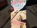 Top Speed Running Dog Catching #top #dog #dogwithpublicsafety #ytviral #pets #dogshorts #shorts