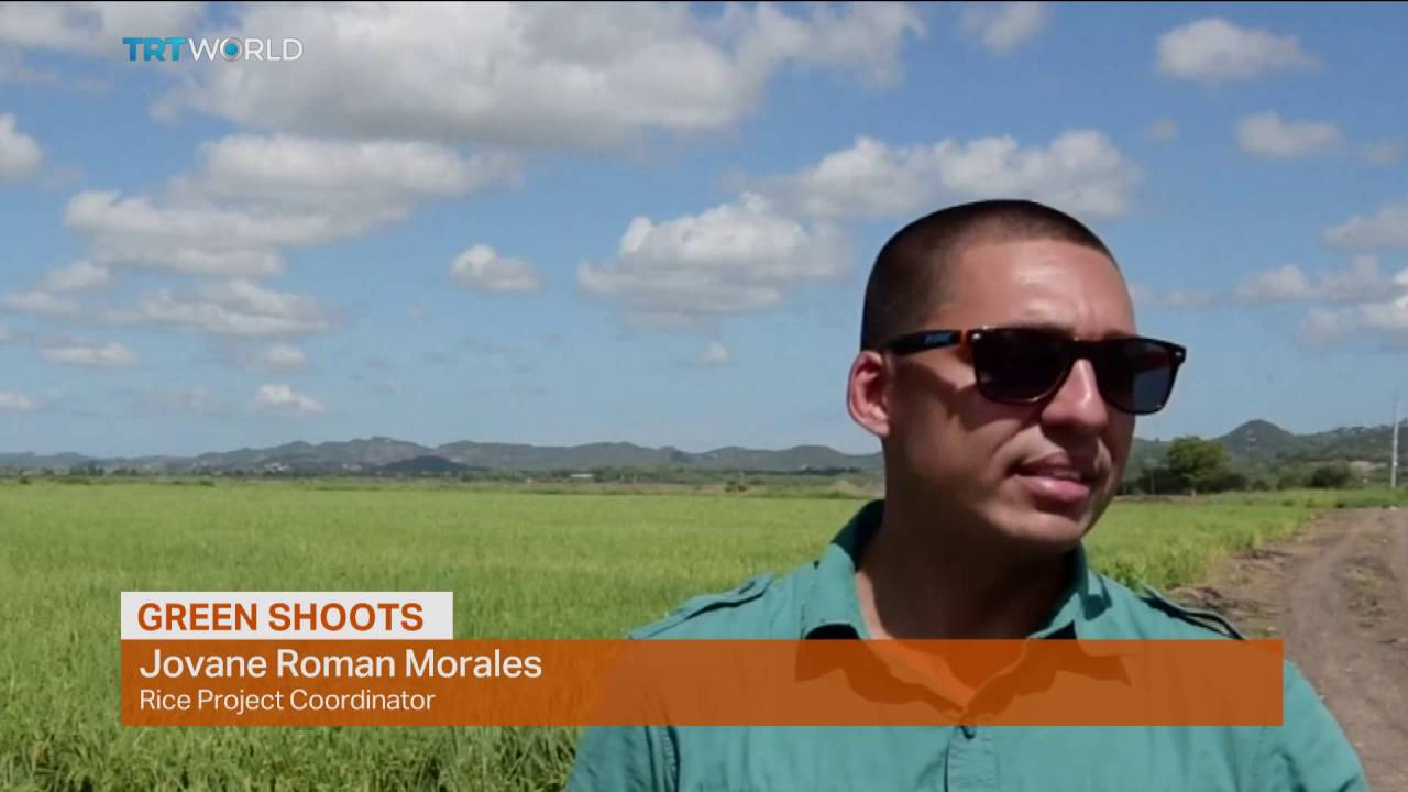 Money Talks: Puerto Rico’s agricultural renaissance