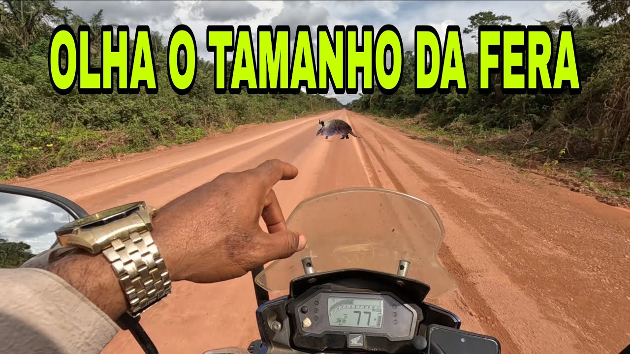 EPS.27TRANSAMAZONICA A BR-230 HUMAITÁ     EXPEDIÇÃO TRILHAS DA AMAZÔNIA 