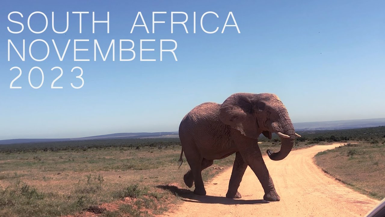 Our first travel as a family of 4 in South Africa - November 2023