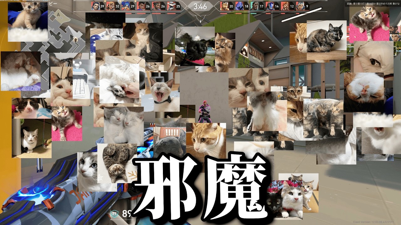 暴言を言うと画面が猫まみれになる「暴言撲滅アプリ」入れてゲームしてみた