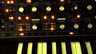 Sub37 Arp Behavior