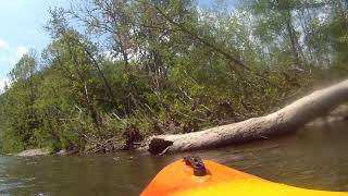 Kayaking The Roanoke River Blue Way