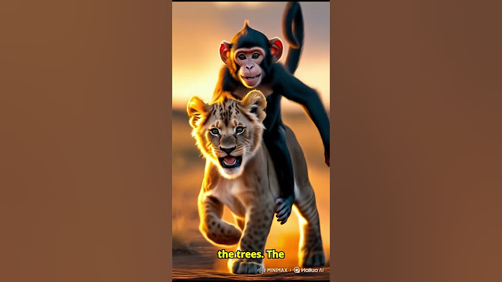 The Monkey Who Raised a Lion Cub… Then Had to Let Him Go #animalbond #animallove