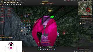 [BDO] Succession Wizard PVP | 전승 위자드 PVP | T1 | Capped Node war | 2026-04-20