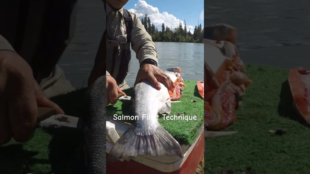 Salmon Fillet Technique With Fish Em LLC Alaska Fishing