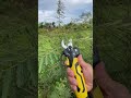 electric scissors easy use save time #tool P7393