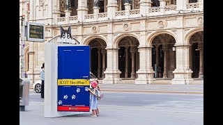 Felix - Katzen Alleine Zuhause