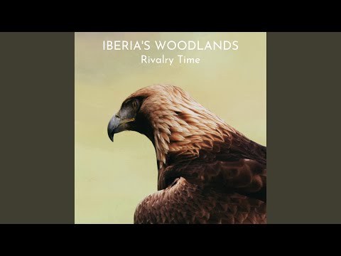 حمله از بالا