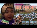 Summoning 1000 Finches in Terraria Journey's End | Wall of Finch vs Wall of Flesh