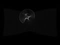 Galaxy simulation | 1 blackhole, 300,000 stars
