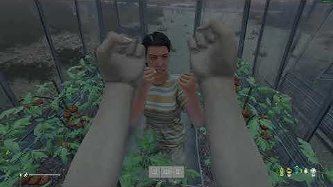 standard dayz encounter