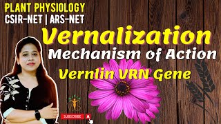 Vernalization | Vernalization Mechanism | Vernalization in Plants | Vernalin | Devernalization