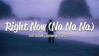 Lost Culturé, Besomage & VADDS - Right Now (Na Na Na) (Lyrics) ft. Royce Nightly