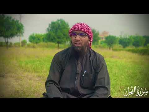 التلاوت المريح القلب سورة النحل نحل للقاري الشيخ عبدالسلام 