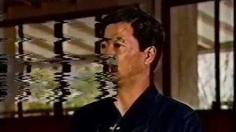 VHS Video Tape Capture with TBC ( Time Base Correction Example )