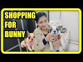 Bunny Ka New Bed Lene Gye 🐰 Shopping for our French Bulldog Bunny | Funny Dog Videos | Harpreet SDC