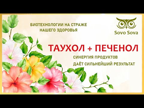 #СОВО_СОВА - ПРОФЕССО