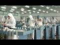 Shehfe Casings Co. FZ. LTD.mp4