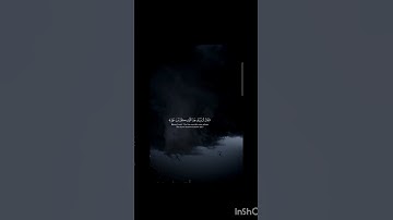 اكتب شيء  تؤجر عليه😴💚/الشيخ ياسر الدوسري|قرآن كريم