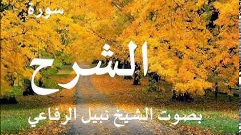 سورة الشرح بصوت الشيخ / نبيل الرفاعي 94