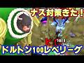 遂に来たナス寿郎聖対策！ドルトン100レべフルブ初見リーグ！【バウンティラッシュ】