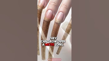 What Happens If You Never Cut Your Fingernails?