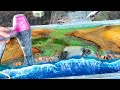 Epoxy OCEAN TABLE | Amazing Extremely Creative Woodworking Projects From Discarded Wood