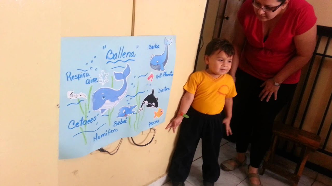 Mi primera exposición (La Ballena) por Giampiero YouTube