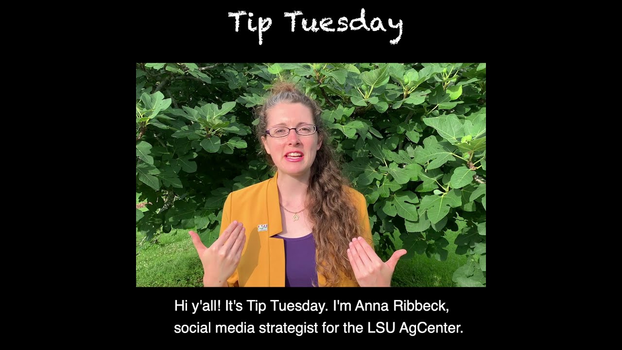 LSU AgCenter Online Resources