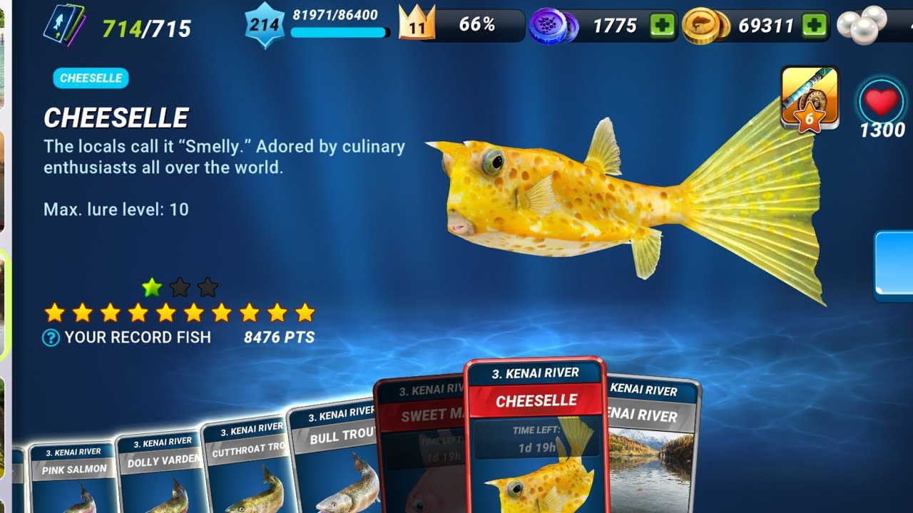 New Fish: Cheeselle - Fishing Clash Gameplay Ep221 - YouTube