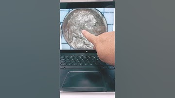 Thumbnail of A buffalo nickel that could be worth $2000