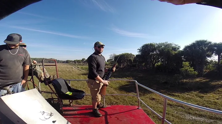 Wild Boar Hunt Swamp Buggy