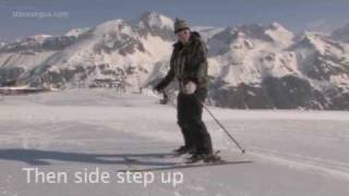 steveangus.com Ski Level 1 description