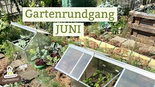 So siehts Anfang Juni im Garten aus - Blumen- und Gemüsebeete, Obstbäume und Sträucher