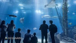 Lisboa, Oceanário